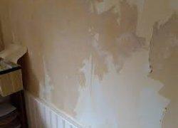 Seeking a plasterer for 4 rooms *Demo*